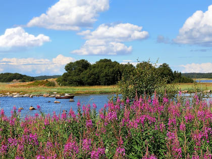О погоде на предстоящую рабочую неделю
