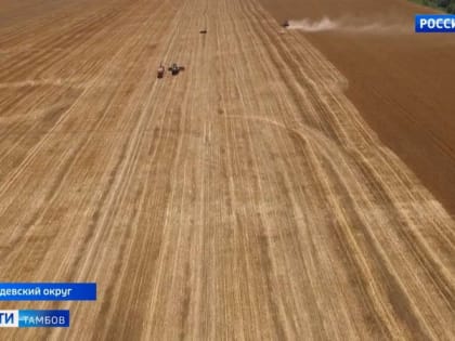 В Тамбовской области стартовала уборочная кампания