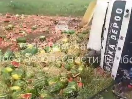 Под Тамбовом перевернулась фура с арбузами