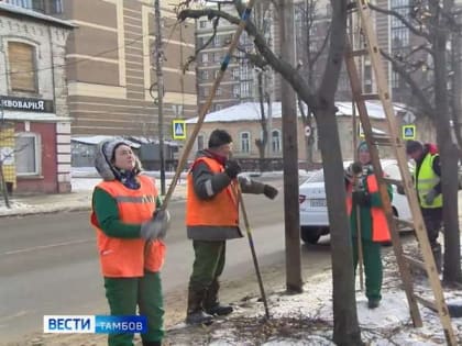 Новости коротко: приговор моршанским «алко-отравителям», обрезка деревьев и «Весточка солдату»