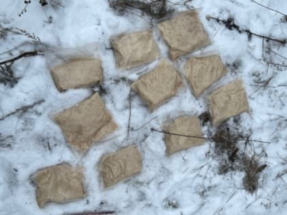 В Тамбовской области нашли 10 килограммамов синтетического наркотика