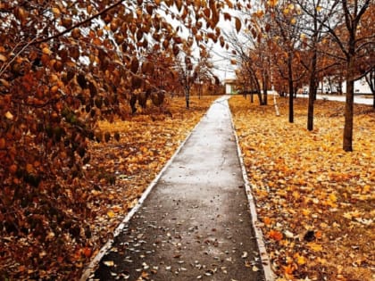 В Тамбове в выходные ожидается около 10 градусов тепла