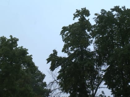 МЧС предупреждает о грозе на территории области