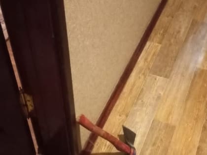 В Тамбове пенсионер пытался зарубить свою супругу топором