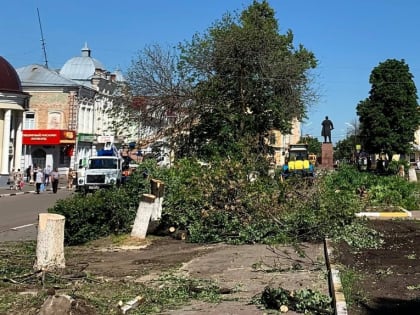 В сквере Мичуринска, находящемся в самом центре города, спилили все деревья. Жители в шоке