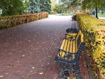 Синоптики обещают тамбовчанам тёплые выходные