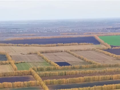 Завершены работы в ЕГРН по установлению всех внешних границ Тамбовской области