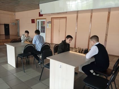 Увлекательный мир шахмат