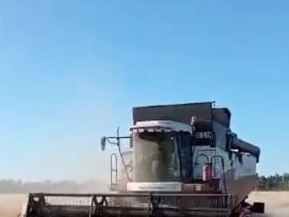 В Мучкапском округе стартовала жатва