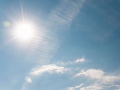 В Тамбовской области с 6 по 8 июля ожидается аномально жаркая погода