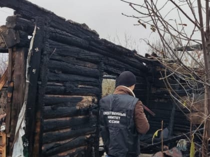 В Тамбовской области при пожаре в доме погиб 52-летний мужчина