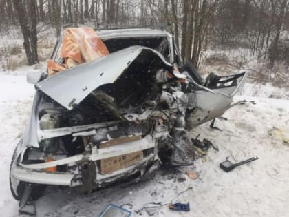 Перед судом предстанет тамбовчанин, устроивший массовое ДТП, в котором погиб человек