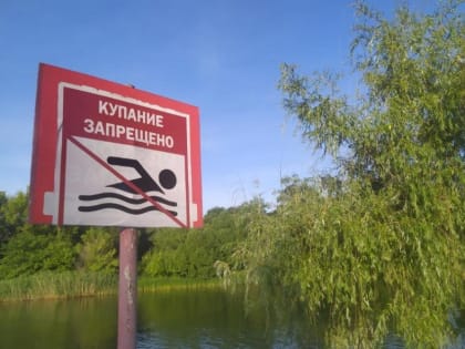 Роспотребнадзор запретил купаться на трёх пляжах Тамбовской области