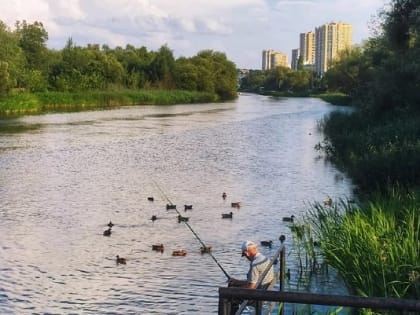 Синоптики рассказали, когда закончится жара в Тамбове