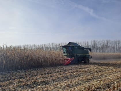 Умётское хозяйство вышло на рекорд по урожайности зерновых