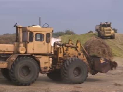 Сбалансированный рацион: витамины и только натуральные продукты. Чем кормят тамбовских буренок?