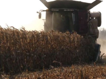 Аграрии Тамбовщины намолотили свыше трёх миллионов тонн зерна