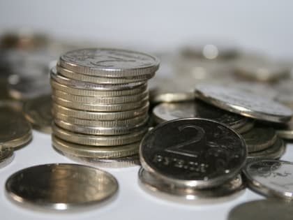 В Тамбовской области лишь 4% от общего числа занятых зарабатывают от 100 тысяч рублей и больше