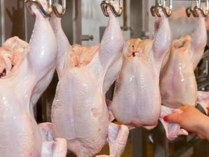 В продукции «Токарёвской птицефабрики» нашли остатки лекарственных препаратов