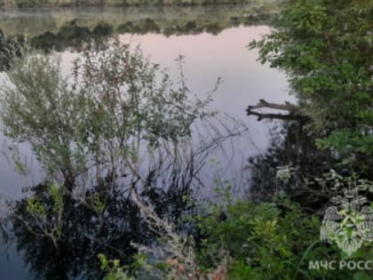 Из тамбовского пруда достали тело погибшего 43-летнего мужчины