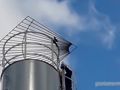 На водонапорной башне в посёлке Редкий Куст установили специальную площадку для аистов