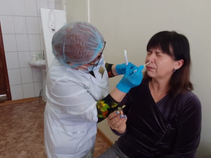 В целях предупреждения распространения новой коронавирусной инфекции на территории Инжавинского района организовано тестирование педагогического состава организаций среднего профес