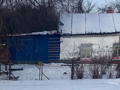 Подозреваемого в убийстве 82-летней пенсионерки в Тамбовском районе заключили под стражу