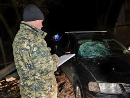 Житель Ржаксинского округа получил 8 лет за ДТП с погибшей школьницей