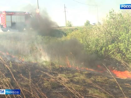 Как сельхозпроизводители обеспечивают безопасность урожая