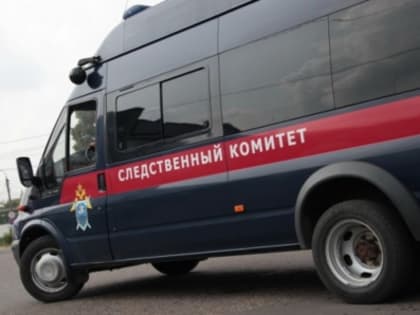 В Тамбове вынесен приговор по уголовному делу об убийстве местного жителя