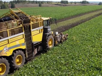 В регионе собрали более 2 миллионов тонн свеклы