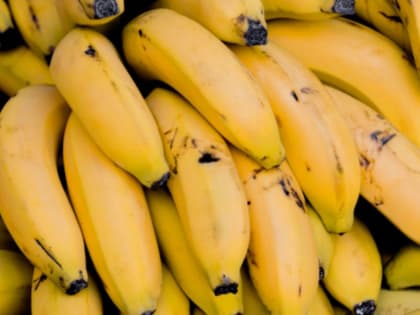 Россия отменила частичный запрет на поставку бананов из Эквадора