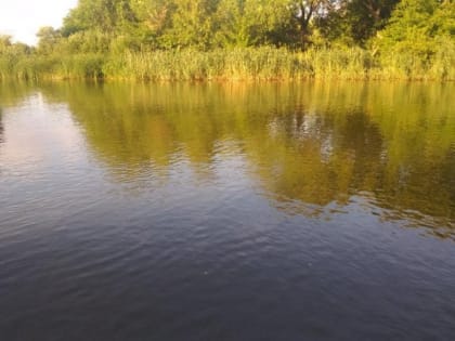 Роспотребнадзор запретил купание на 8 пляжах в Тамбовской области