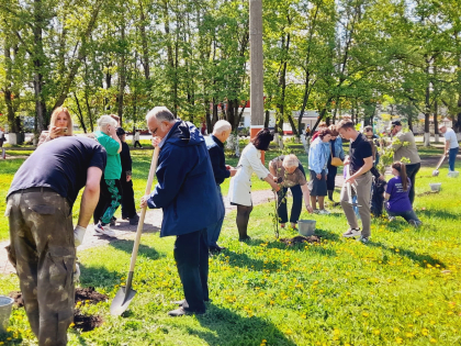 В Мичуринске в Год семьи заложили «Семейную аллею».