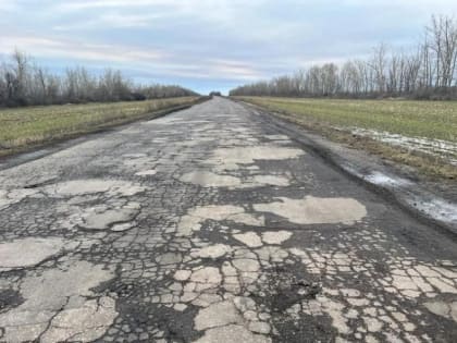 Прокуратура выявила дефекты дорожного покрытия в Мучкапском районе