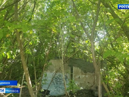 В Мичуринске под обрушенной стеной погиб школьник: комментарии прокуратуры