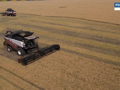 Из Тамбовской области увеличился экспорт зерна