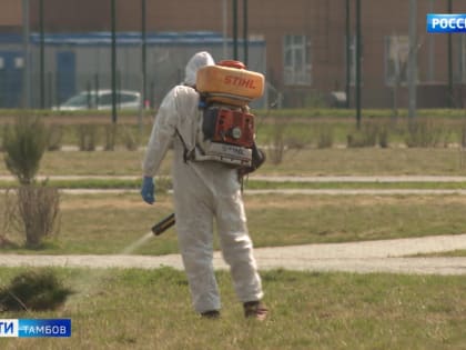 44 человека обратились в больницы после укусов клещей