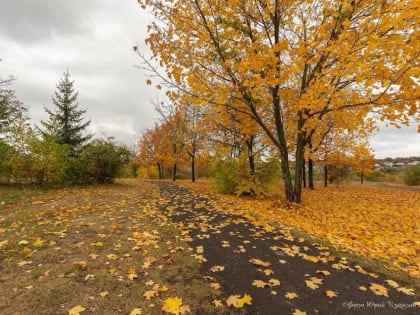 Пасмурная неделя в Тамбовской области