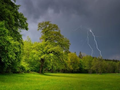 На территории региона сохранится прохладная и дождливая погода
