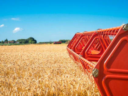 С тамбовских полей собрали весь урожай гороха, ячменя и ржи