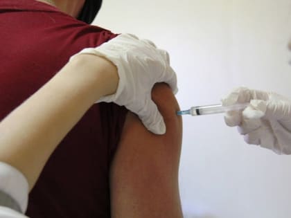 Тамбовчанам советуют привиться от клещевого энцефалита