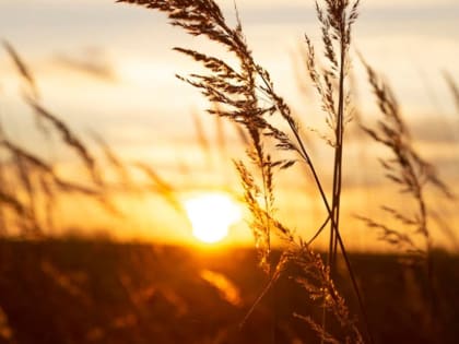 Стали известны первые признаки теплового удара