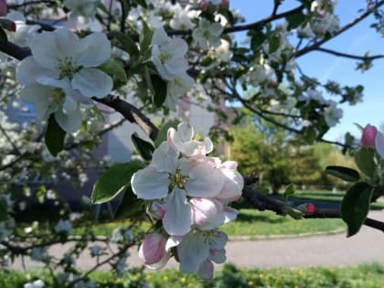 В Тамбове в выходные ожидается резкое похолодание
