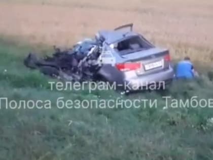 Под Тамбовом "Киа" лоб в лоб столкнулась с грузовиком: есть жертвы