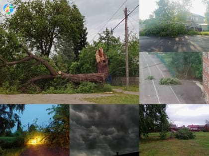 Последствия шквалистого ветра в городе Рассказово
