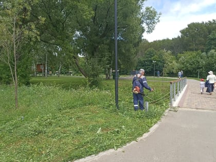 Коммунальные службы наукограда на страже чистоты родного города