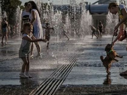 Лето-2023 в России может стать самым жарким за 150 лет