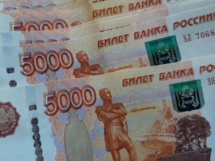 В Госдуме предложили выплачивать маткапитал студенткам в размере 833 тысяч рублей