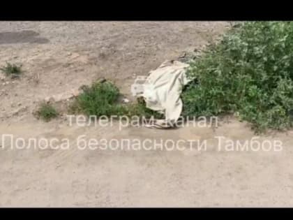 В поселке Строитель "КАМАЗ" наехал на 68-летнего мужчину